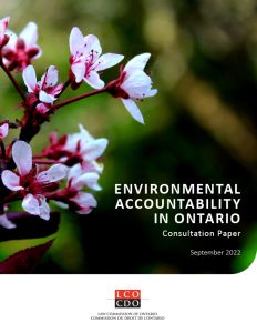 Flower background image with the words Environmental Accountability in Ontario Consultation Paper written over it